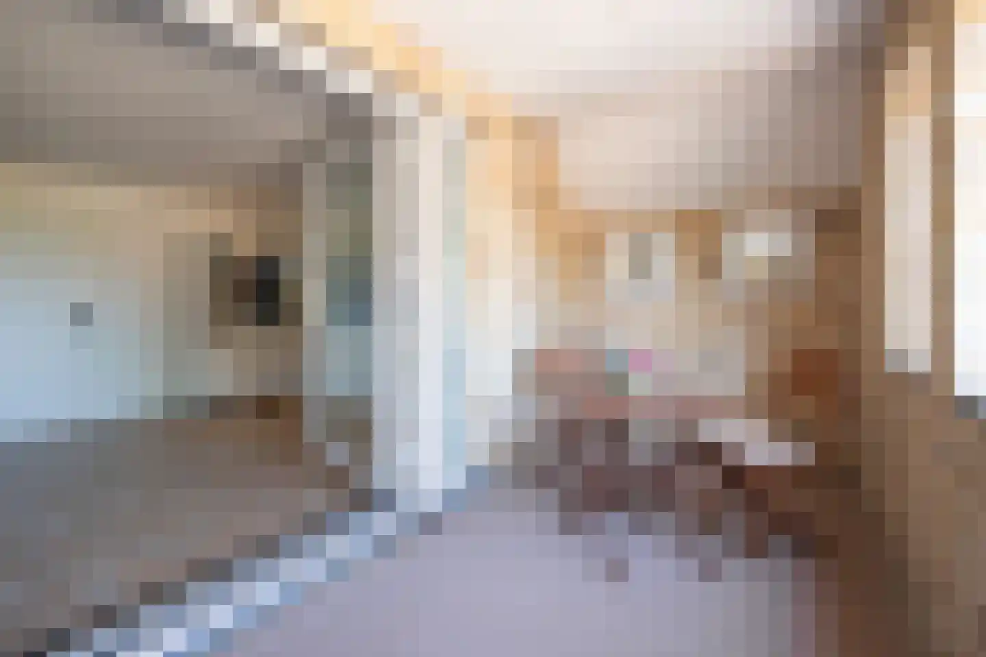 Dorpsstraat 65 a Ohé en Laak thumbnail 21