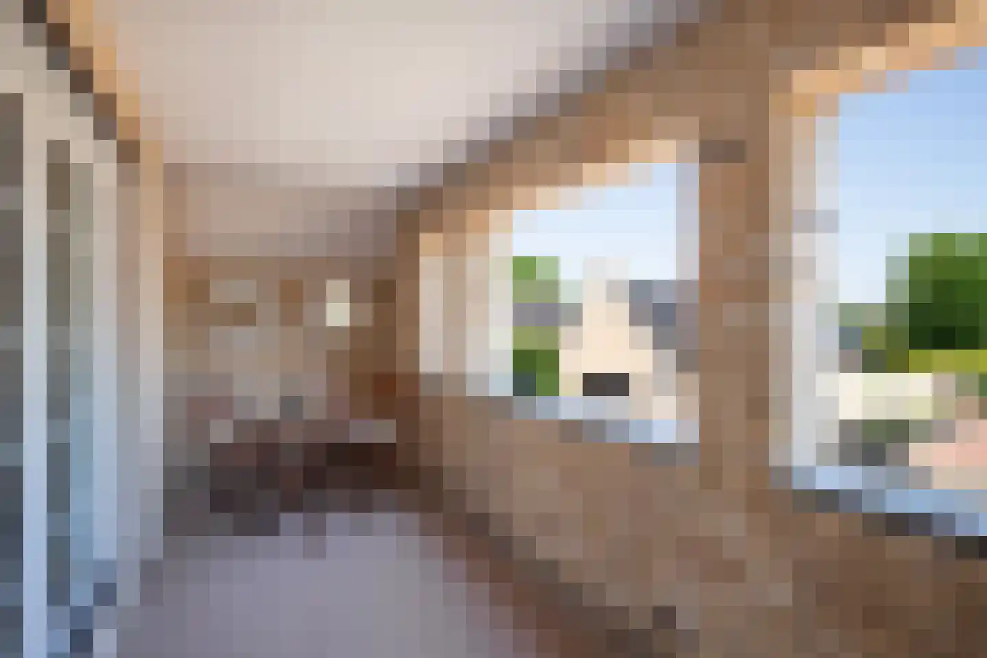 Dorpsstraat 65 a Ohé en Laak thumbnail 22