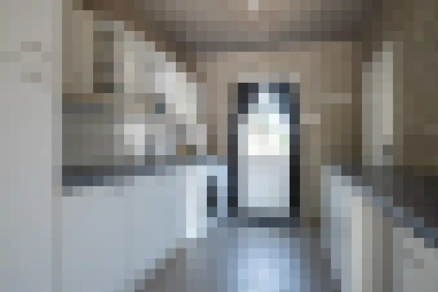 Dorpsstraat 65 a Ohé en Laak thumbnail 31