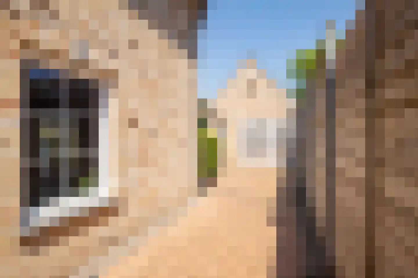 Dorpsstraat 65 a Ohé en Laak thumbnail 43