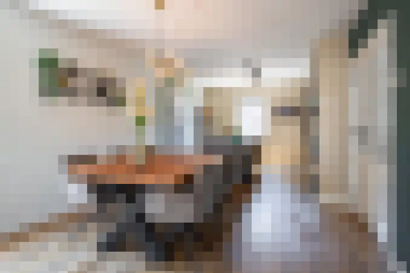 Dorpsstraat 65 a Ohé en Laak thumbnail 5