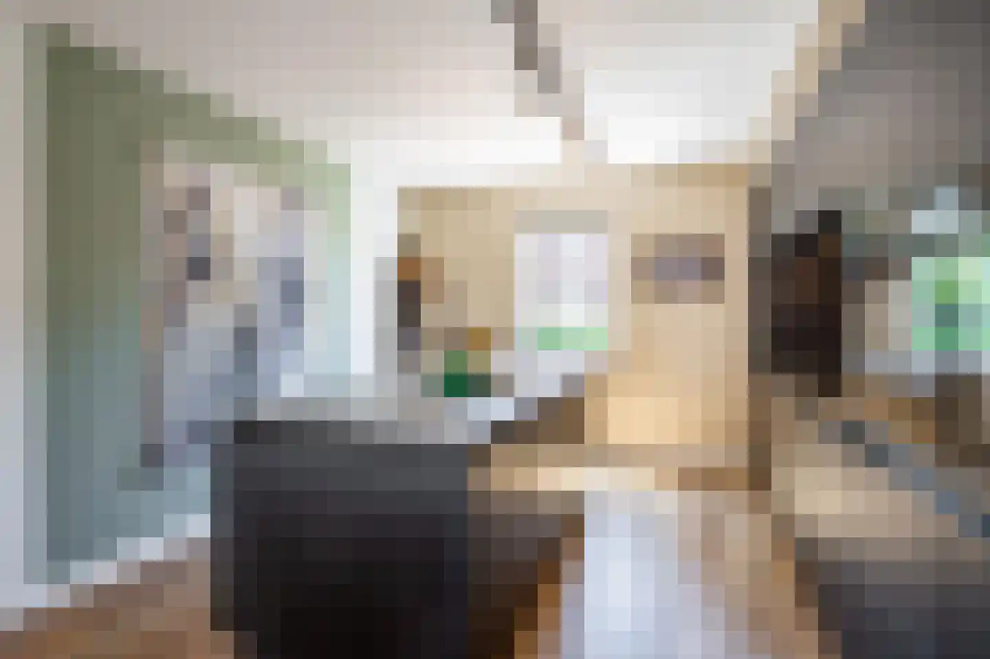 Dorpsstraat 65 a Ohé en Laak thumbnail 7