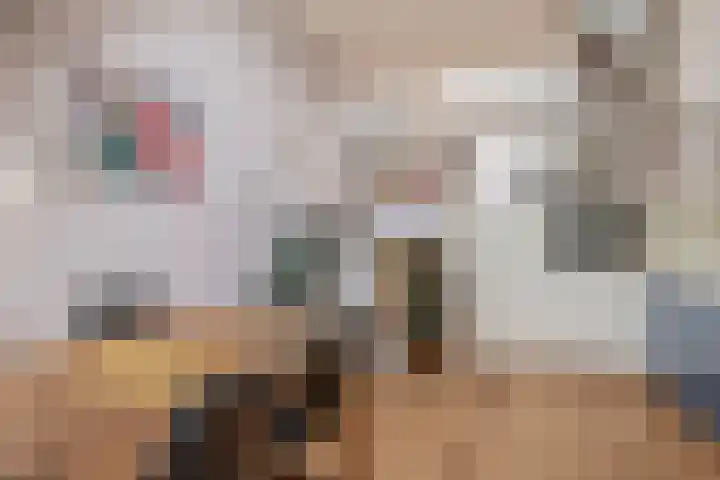 Dorpsstraat 65 Capelle aan den IJssel thumbnail 16
