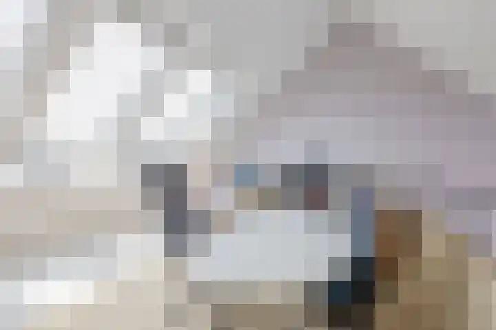 Dorpsstraat 65 Capelle aan den IJssel thumbnail 41