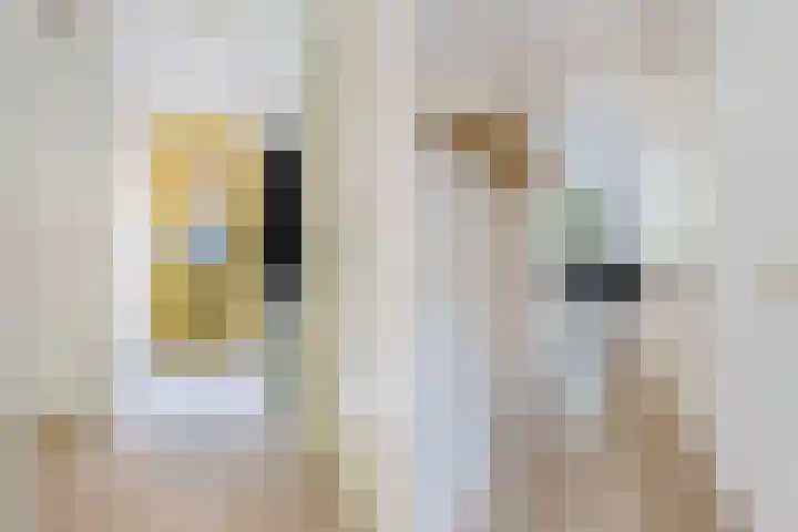 Dorpsstraat 65 D Lunteren thumbnail 23