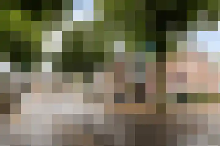 Dorpsstraat 65 D Lunteren thumbnail 30