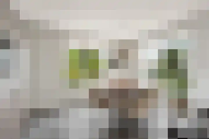 Dorpsstraat 65 Halle thumbnail 15