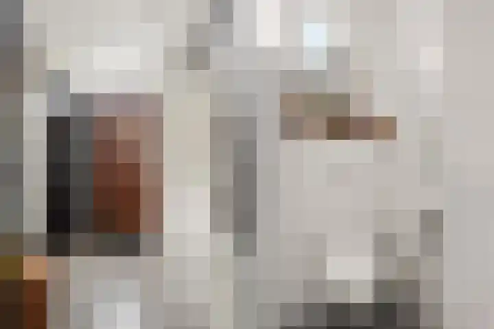Dorpsstraat 65 Halle thumbnail 23
