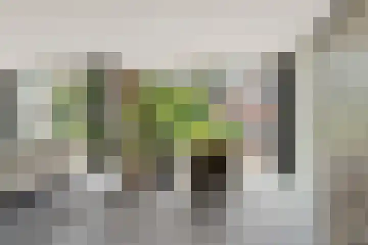 Dorpsstraat 65 Halle thumbnail 25