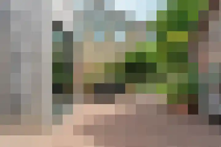 Dorpsstraat 65 Halle thumbnail 30