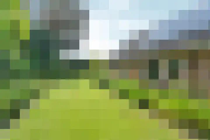 Dorpsstraat 65 Halle thumbnail 31