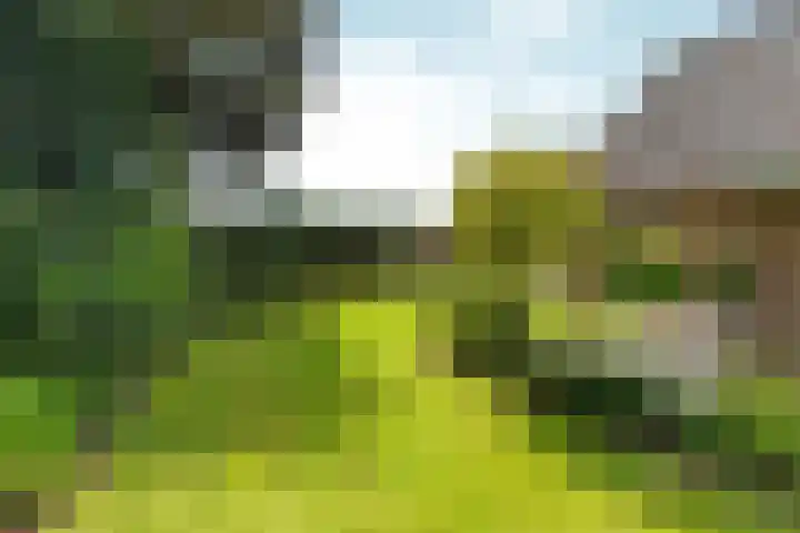 Dorpsstraat 65 Halle thumbnail 32