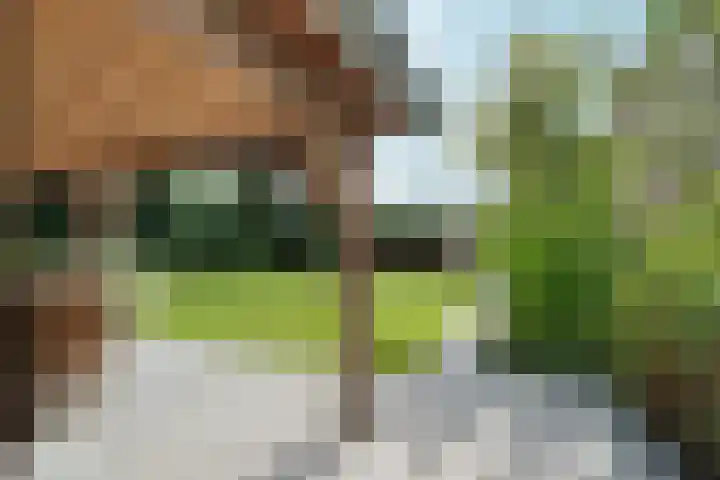 Dorpsstraat 65 Halle thumbnail 36