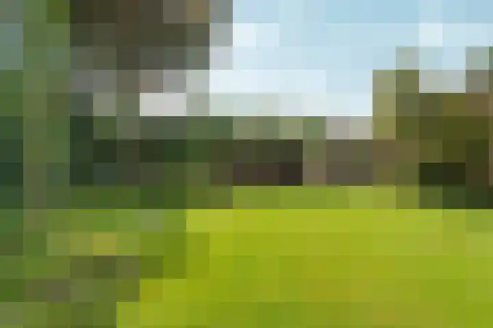 Dorpsstraat 65 Halle thumbnail 37