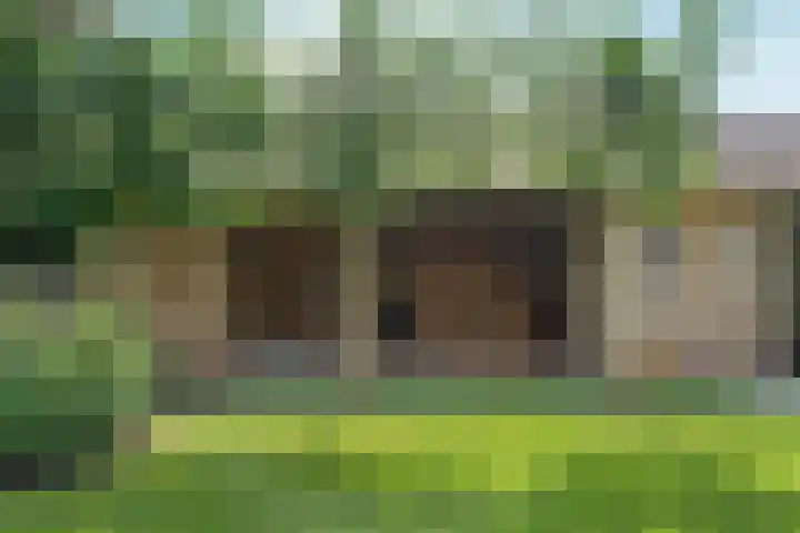 Dorpsstraat 65 Halle thumbnail 38