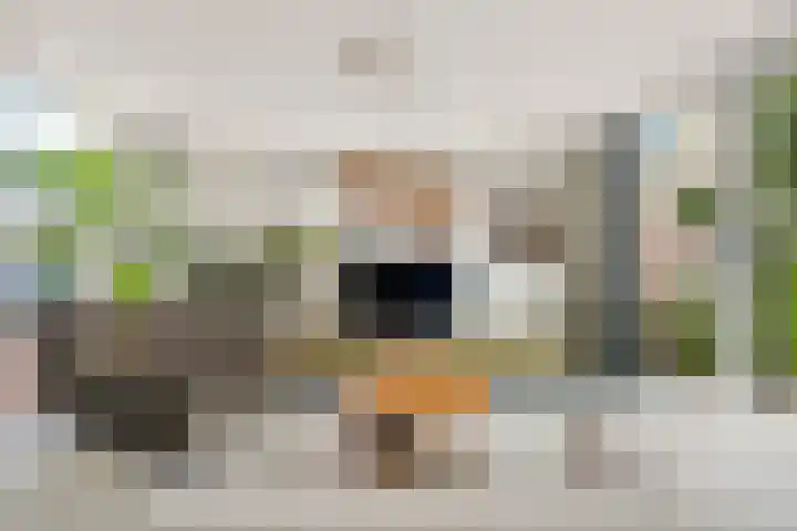 Dorpsstraat 65 Halle thumbnail 4