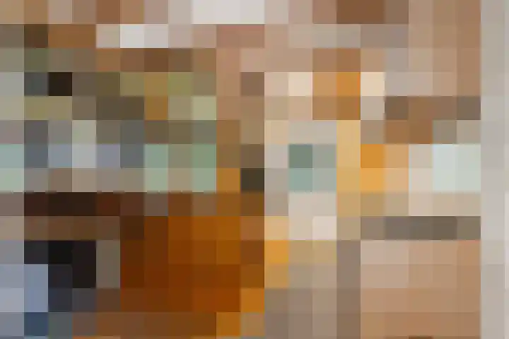 Dorpsstraat 65 Halle thumbnail 47