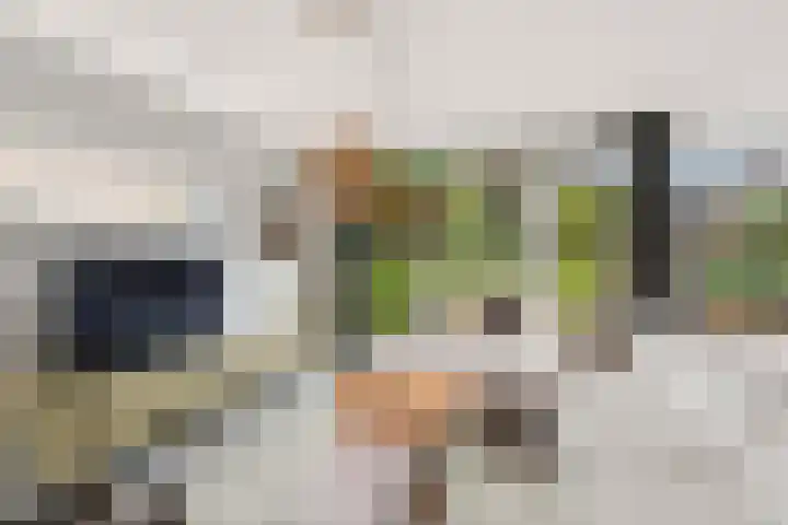 Dorpsstraat 65 Halle thumbnail 5