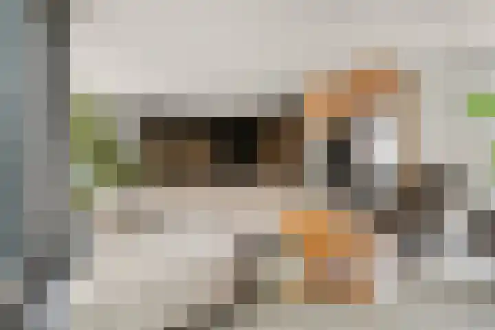 Dorpsstraat 65 Halle thumbnail 6