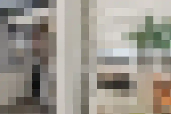 Dorpsstraat 65 Halle thumbnail 64