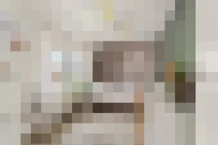 Dorpsstraat 65 Halle thumbnail 66