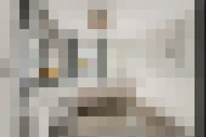 Dorpsstraat 65 Halle thumbnail 68