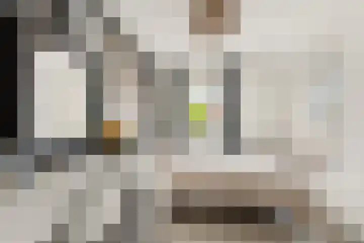 Dorpsstraat 65 Halle thumbnail 69