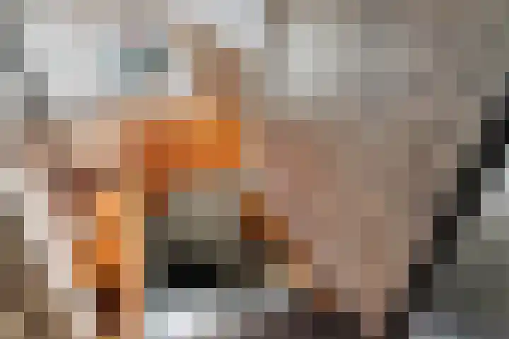 Dorpsstraat 65 Halle thumbnail 75
