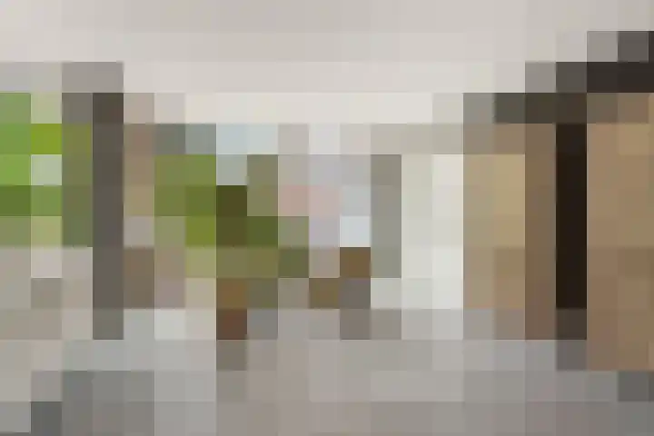 Dorpsstraat 65 Halle thumbnail 8