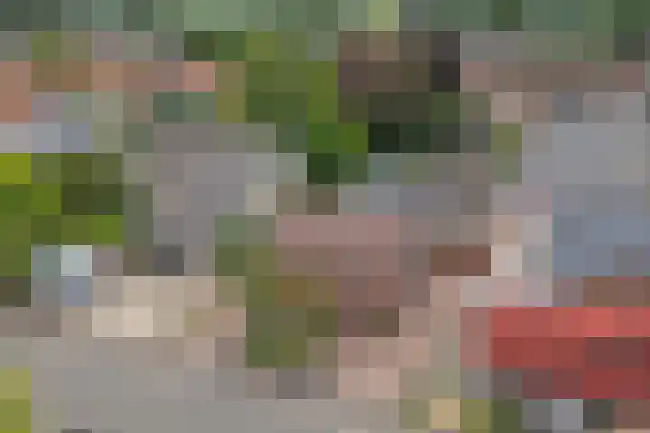 Dorpsstraat 65 Halle thumbnail 81