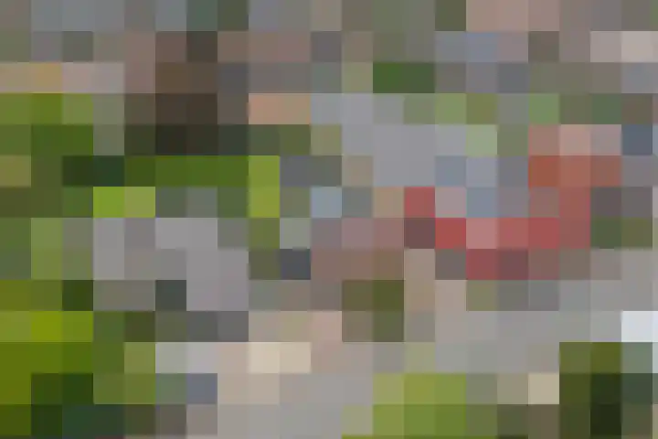 Dorpsstraat 65 Halle thumbnail 82