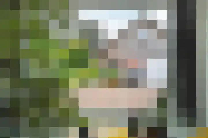 Dorpsstraat 65 Halle thumbnail 9