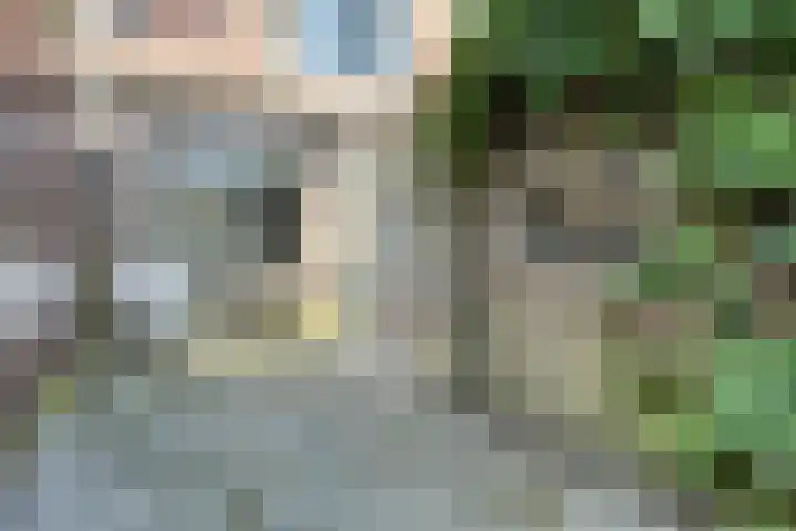 Dorpsstraat 65 Heinkenszand thumbnail 34