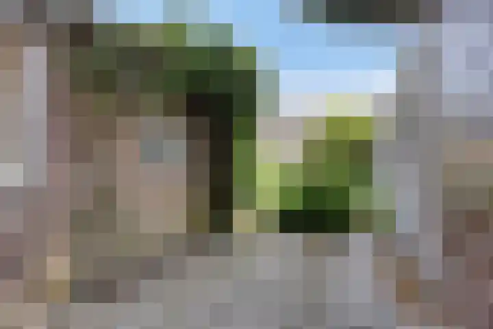 Dorpsstraat 65 Heinkenszand thumbnail 35