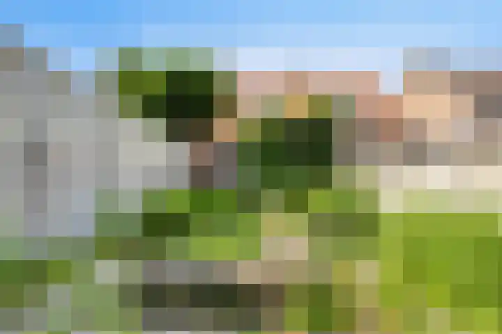 Dorpsstraat 65 Heinkenszand thumbnail 37
