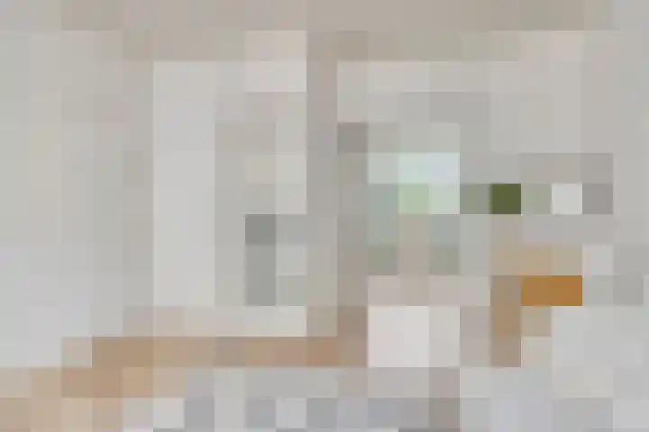 Dorpsstraat 65 Heinkenszand thumbnail 7