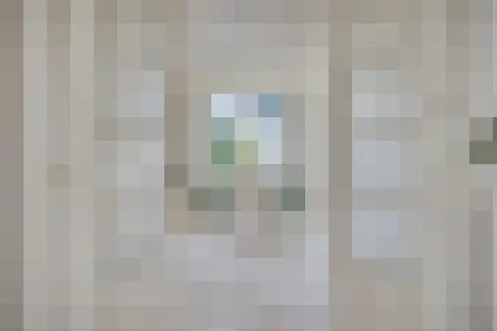 Dorpsstraat 65 Heinkenszand thumbnail 8