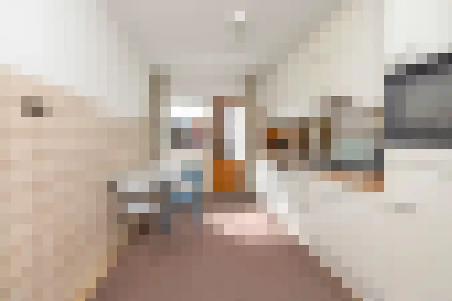 Dorpsstraat 65 Lieshout thumbnail 16