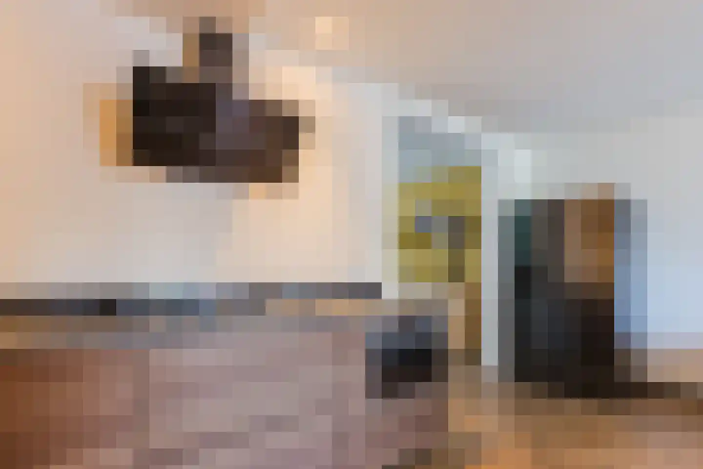 Dorpsstraat 652 Assendelft thumbnail 16