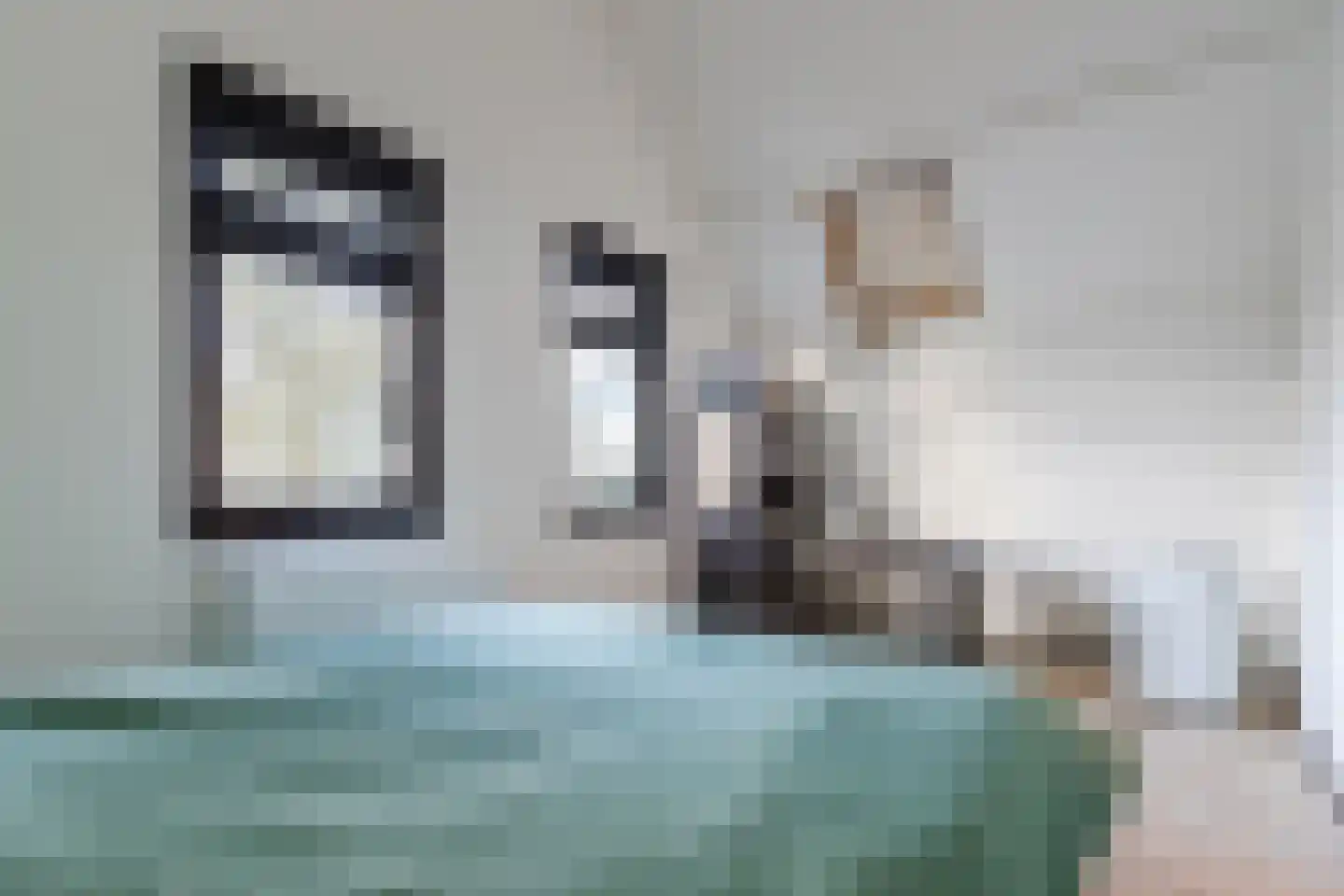 Dorpsstraat 652 Assendelft thumbnail 21