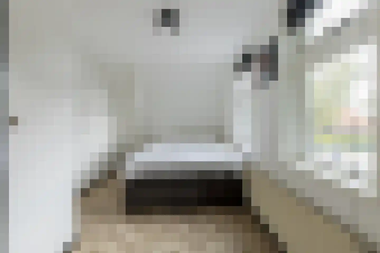 Dorpsstraat 652 Assendelft thumbnail 26