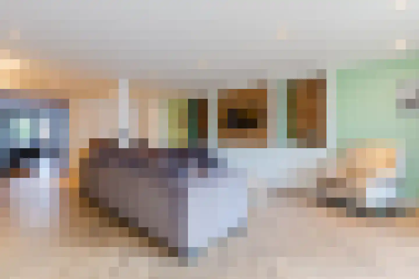 Dorpsstraat 652 Assendelft thumbnail 5