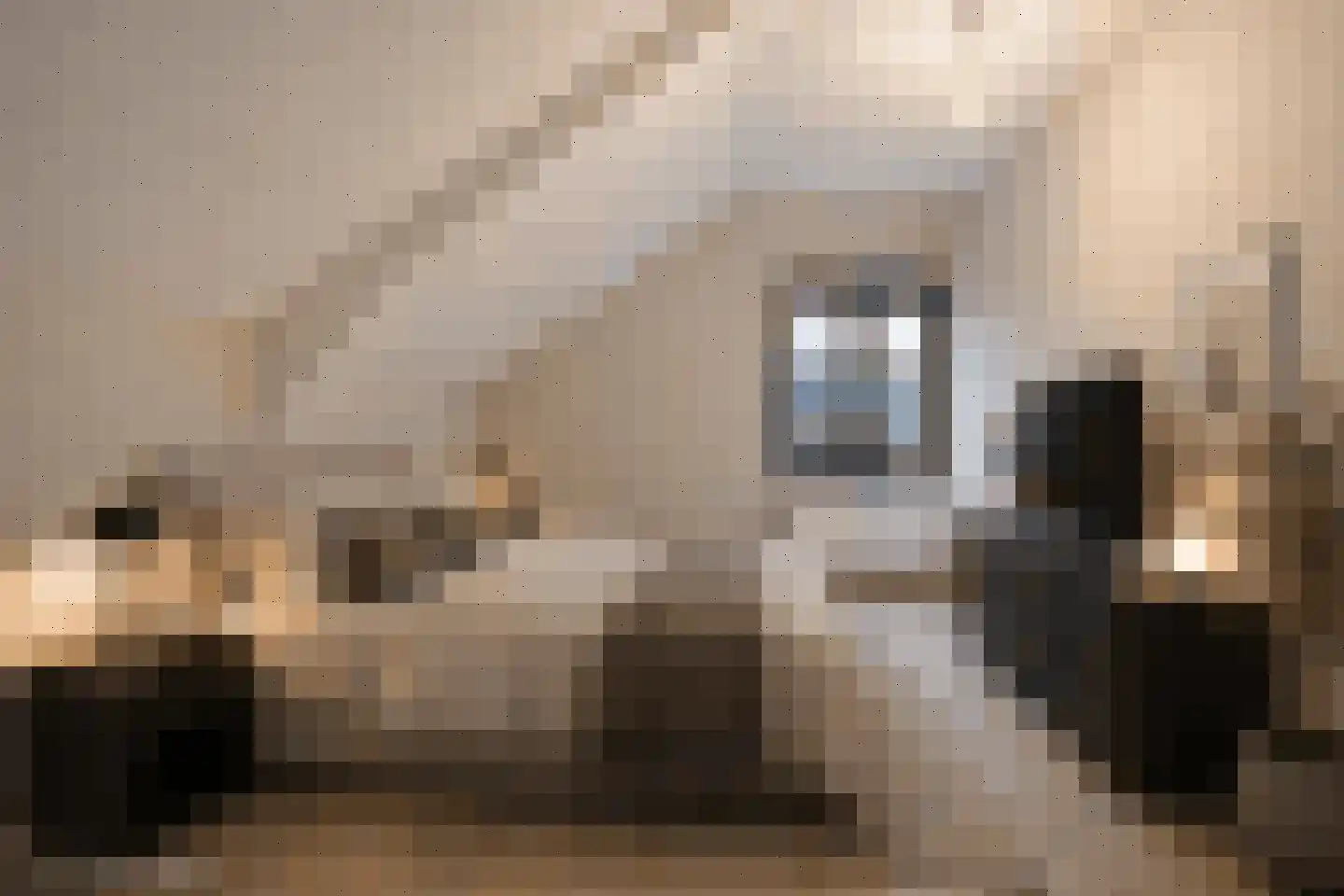 Dorpsstraat 66 a Geesteren thumbnail 21