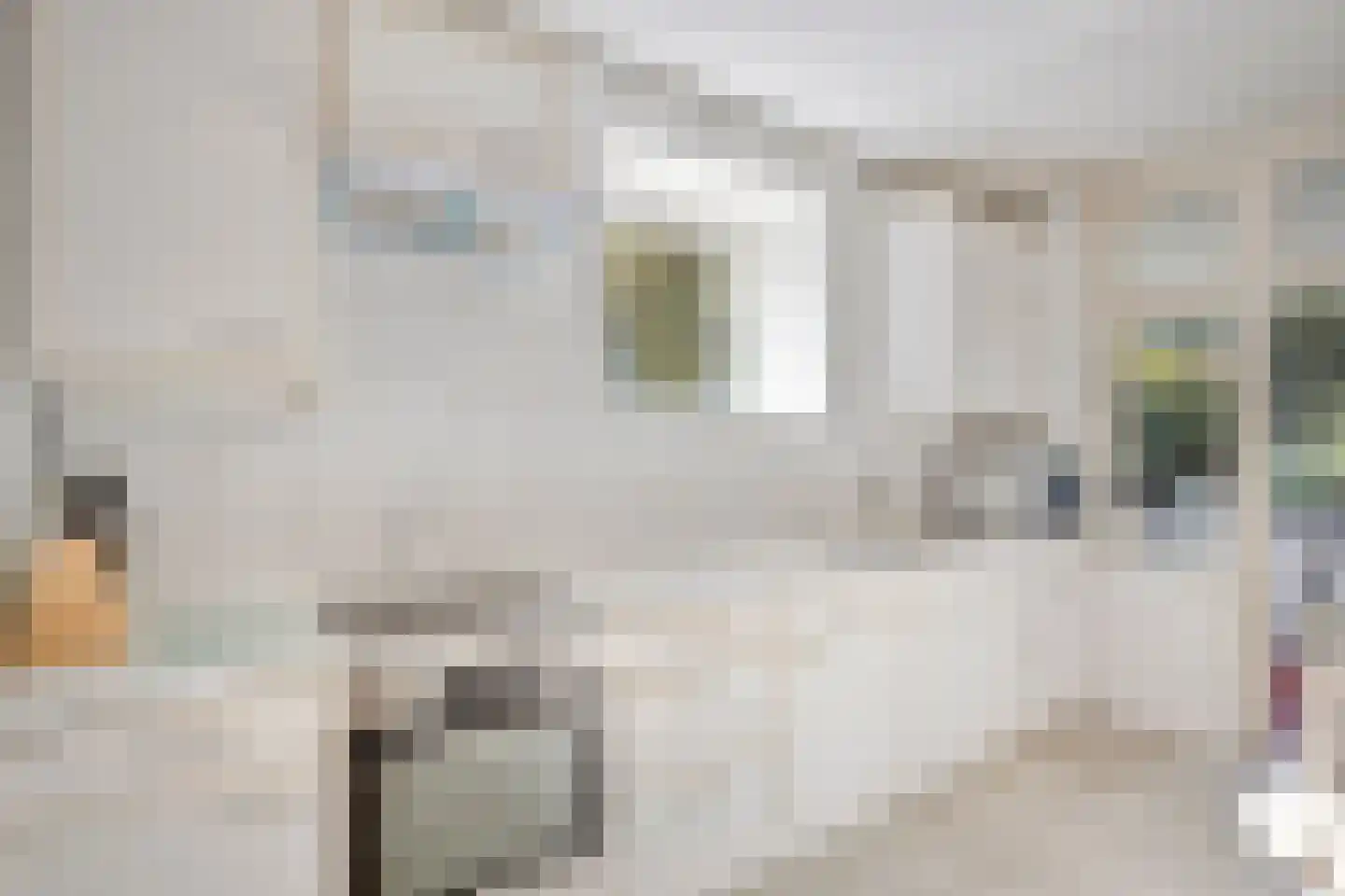 Dorpsstraat 66 Bergen (NH) thumbnail 13