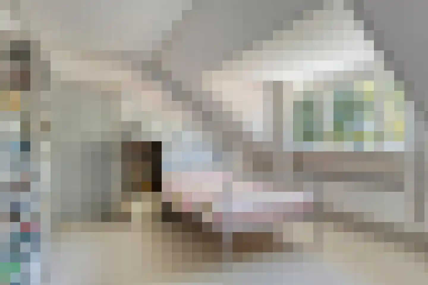Dorpsstraat 66 Bergen (NH) thumbnail 29