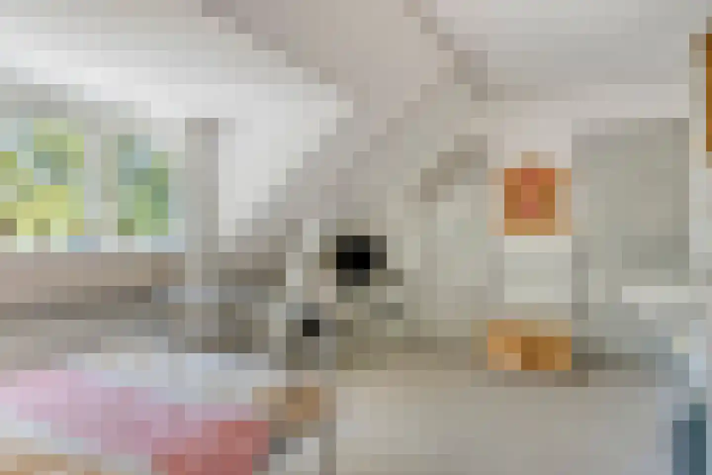 Dorpsstraat 66 Bergen (NH) thumbnail 30