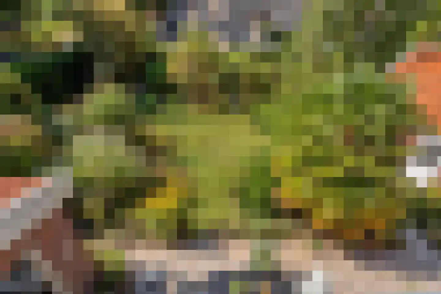 Dorpsstraat 66 Bergen (NH) thumbnail 33