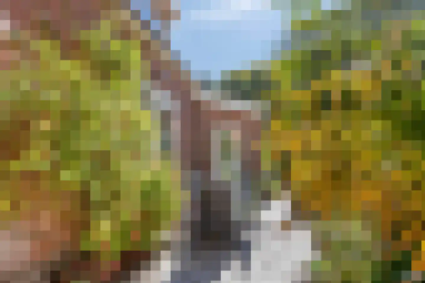 Dorpsstraat 66 Bergen (NH) thumbnail 35