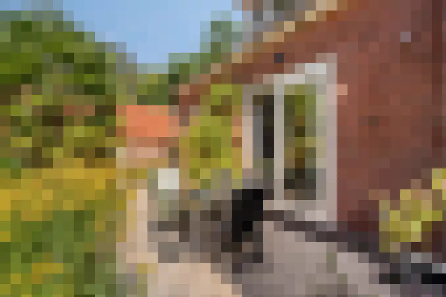 Dorpsstraat 66 Bergen (NH) thumbnail 36