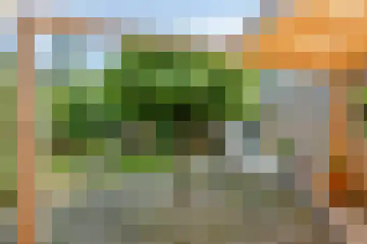 Dorpsstraat 66 Haule thumbnail 23
